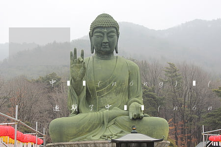 中國農(nóng)業(yè)銀行信用卡逾期了(中國農(nóng)業(yè)銀行信用卡逾期了被起訴了)