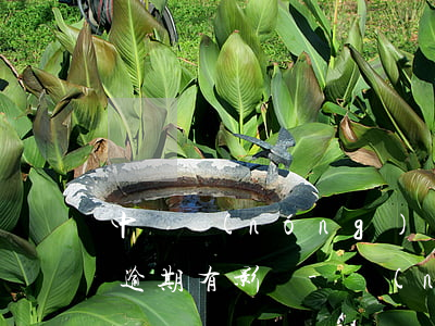中國農(nóng)業(yè)銀行信用卡逾期有影嗎-農(nóng)業(yè)銀行信用卡 逾期