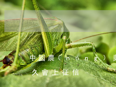 中國農(nóng)業(yè)銀行逾期多久會上征信