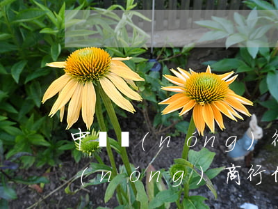 中國農(nóng)行信用卡逾期怎么辦(農(nóng)商行信用卡6萬逾期)