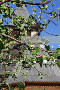 中國近年來的重大冤案(中國近年來的重大冤案關(guān)押時間最長的)