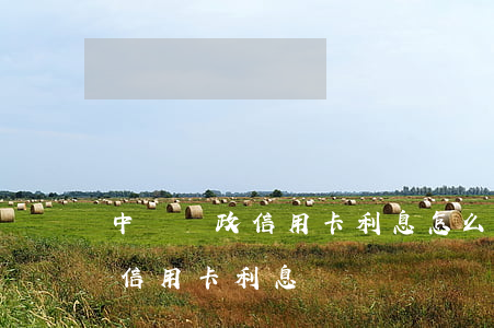 中國郵政信用卡利息怎么那么高呢（中國郵政信用卡利息）