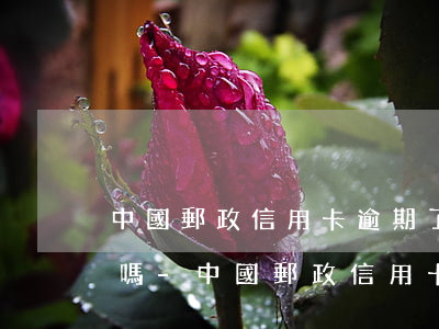 中國郵政信用卡逾期了可以協(xié)商嗎-中國郵政信用卡逾期了可以協(xié)商嗎還款嗎