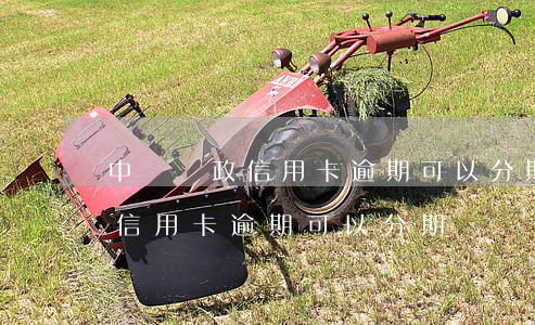 中國郵政信用卡逾期可以分期嗎-中國郵政信用卡逾期可以分期嗎