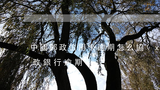中國郵政信用卡逾期怎么協(xié)商(郵政銀行逾期)