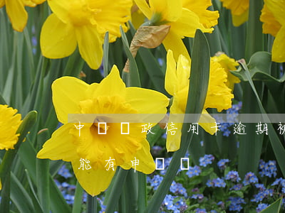 中國郵政信用卡逾期被拒(郵政信用卡拒絕還能有申請嗎)