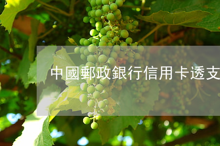 中國郵政銀行信用卡透支(郵政卡可以透支嗎)