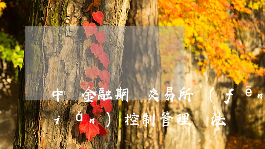 中國金融期貨交易所風(fēng)險(xiǎn)控制管理辦法