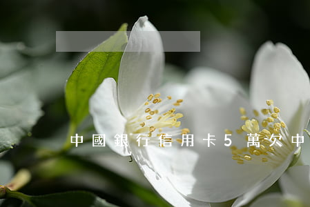 中國銀行信用卡5萬（欠中行信用卡5萬6年）