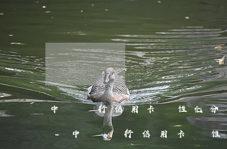中國銀行信用卡個性化分期可以減免利息嗎-中國銀行信用卡個性化分期可以減免利息嗎