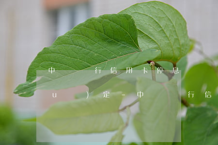 中國銀行信用卡停息掛賬2021新規(guī)定-中國銀行信用卡停息掛賬2021新規(guī)定是什么