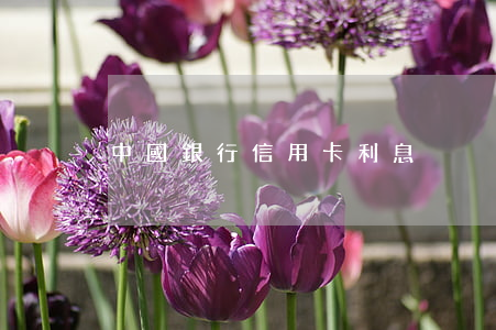 中國銀行信用卡利息
