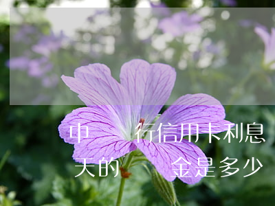 中國銀行信用卡利息滯納金 中國銀行逾期一天的滯納金是多少?