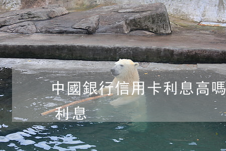 中國銀行信用卡利息高嗎（中國銀行的信用卡利息）