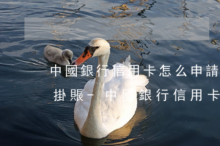 中國銀行信用卡怎么申請(qǐng)停息掛賬-中國銀行信用卡怎么申請(qǐng)停息掛賬業(yè)務(wù)