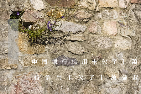 中國銀行信用卡欠了1萬會起訴嗎-中國銀行信用卡欠了1萬會起訴嗎知乎