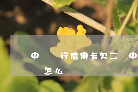 中國銀行信用卡欠二萬(中國銀行信用卡欠二萬怎么辦)