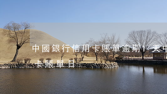 中國銀行信用卡賬單逾期1天(中國銀行 信用卡 賬單日)