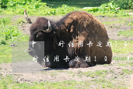 中國銀行信用卡逾期10萬怎么辦-中國銀行信用卡逾期10萬怎么辦理