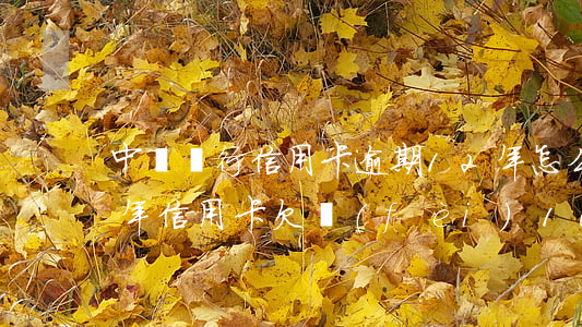 中國銀行信用卡逾期12年怎么辦(2008年信用卡欠費(fèi)10年銀行還會(huì)怎么樣)