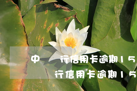 中國銀行信用卡逾期15萬可以消除嗎-中國銀行信用卡逾期15萬可以消除嗎