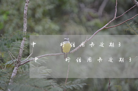 中國銀行信用卡逾期3個(gè)月還款-中國銀行信用卡逾期3個(gè)月還款會怎樣