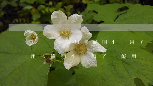 中國銀行信用卡逾期4個月了-中國銀行信用卡逾期4個月了還能用嗎
