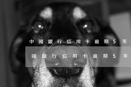 中國銀行信用卡逾期5年可以只還本金嗎?（中國銀行信用卡逾期5年）