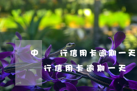中國銀行信用卡逾期一天會影響征信-中國銀行信用卡逾期一天會影響征信嗎