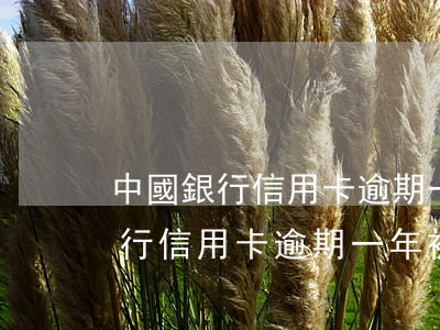 中國銀行信用卡逾期一年被起訴了-中國銀行信用卡逾期一年被起訴了怎么辦