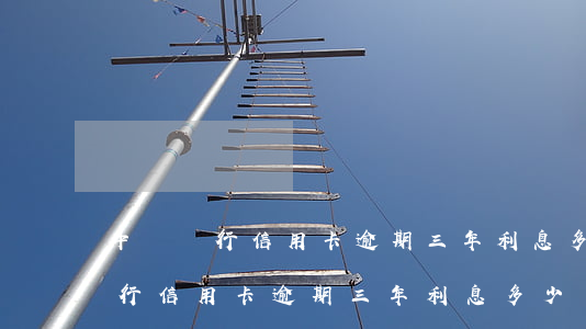 中國銀行信用卡逾期三年利息多少-中國銀行信用卡逾期三年利息多少錢