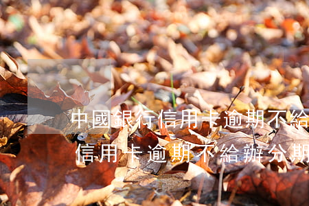 中國銀行信用卡逾期不給辦分期-中國銀行信用卡逾期不給辦分期怎么辦