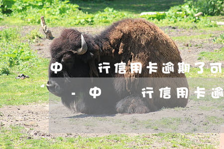 中國銀行信用卡逾期了可以協(xié)商嗎-中國銀行信用卡逾期了可以協(xié)商嗎?
