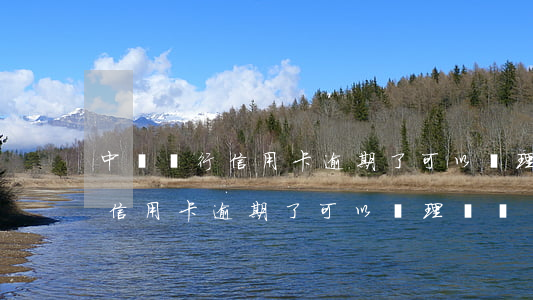 中國銀行信用卡逾期了可以辦理嗎(中國銀行信用卡逾期了可以辦理嗎嗎)