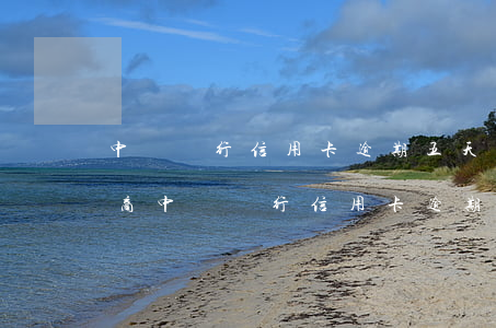 中國銀行信用卡逾期五天怎么協(xié)商(中國銀行信用卡逾期五天怎么協(xié)商還款)