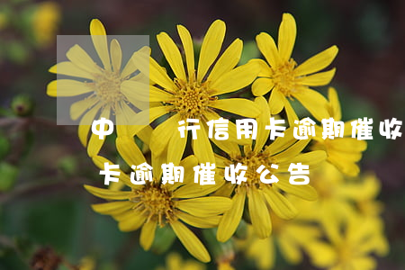 中國銀行信用卡逾期催收公告(中國銀行信用卡逾期催收公告)