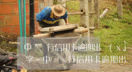 中國銀行信用卡逾期出現(xiàn)幾個字-中國銀行信用卡逾期出現(xiàn)幾個字賬戶異常