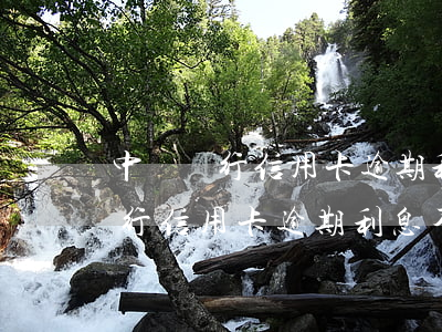 中國銀行信用卡逾期利息不再增加-中國銀行信用卡逾期利息不再增加怎么辦