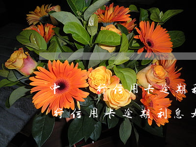 中國銀行信用卡逾期利息是怎么算-中國銀行信用卡逾期利息是怎么算的