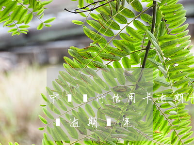 中國銀行信用卡逾期十萬(中信銀行信用卡十萬逾期兩年)