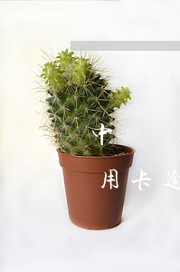 中國銀行信用卡逾期半年了沒還(中國銀行信用卡逾期半年了沒還會(huì)怎么樣)