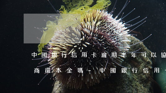 中國銀行信用卡逾期半年可以協(xié)商還本金嗎-中國銀行信用卡逾期半年可以協(xié)商還本金嗎