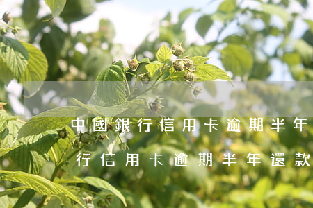 中國銀行信用卡逾期半年還款額度-中國銀行信用卡逾期半年還款額度會(huì)恢復(fù)嗎
