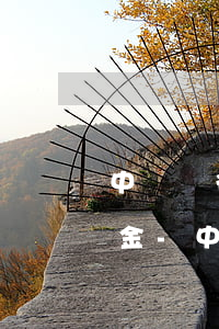 中國銀行信用卡逾期協(xié)商只還本金-中國銀行信用卡逾期協(xié)商只還本金嗎
