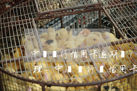 中國銀行信用卡逾期協(xié)商還款處理-中國銀行對信用卡逾期的處理