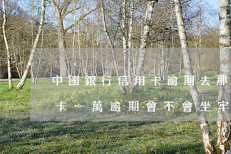 中國銀行信用卡逾期去那還(欠中國銀行信用卡一萬逾期會不會坐牢)