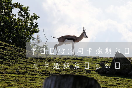中國銀行信用卡逾期后會怎么樣(中國銀行信用卡逾期后會怎么樣)