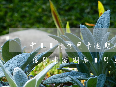 中國銀行信用卡逾期后費用太高-中國銀行信用卡逾期后費用太高怎么辦
