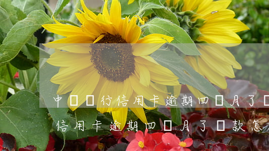 中國銀行信用卡逾期四個月了還款(中國銀行信用卡逾期四個月了還款怎么辦)