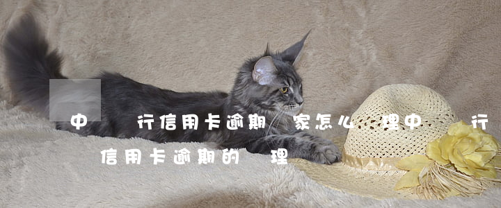 中國銀行信用卡逾期國家怎么處理 中國銀行對信用卡逾期的處理